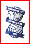 Birmingham betting tip