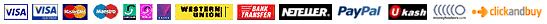 Payment options at this bookmaker