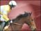 Horse racing bets