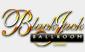 Blackjack Ballroom is a long established Microgaming casino. USA residents from all but 11 States still accepted.