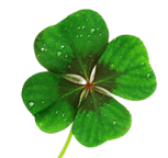 Share the Luck of the Irish at Dublinbet Casino